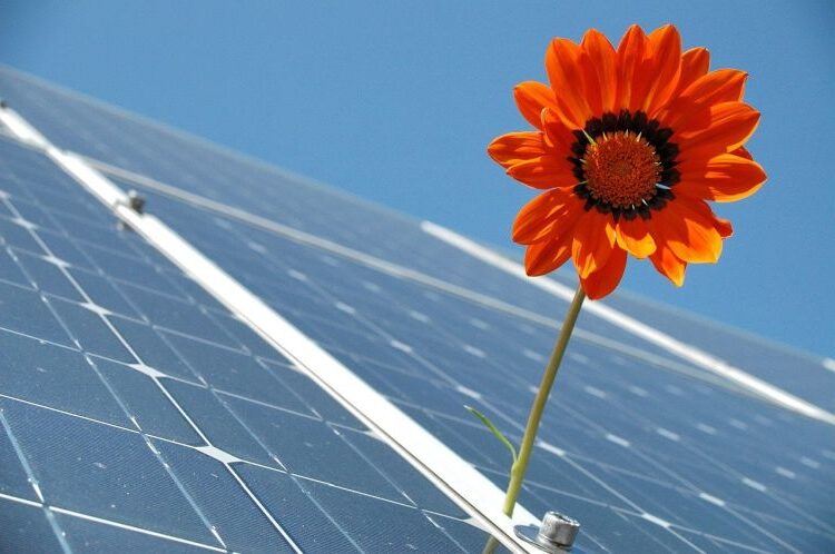 Scopri di più sull'articolo Fotovoltaico a Siracusa, piano transizione 5.0 e una prima Comunità Energetica