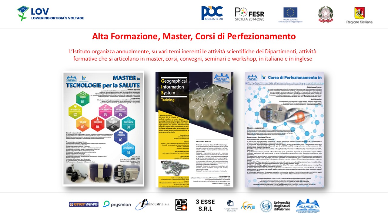 Diapositiva14
